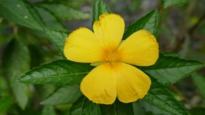 G582d175ada8cc4177dcea10520178b34675f44c163da9b0ac79aeede0655bf10fedc39c399f9a1b1003377daa47e3181f35483864e7958b259c24b64961abda3 640